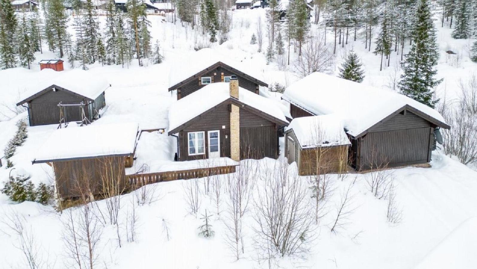 A Wonderful Estate Of Two For Seasons! Holiday home Trysil